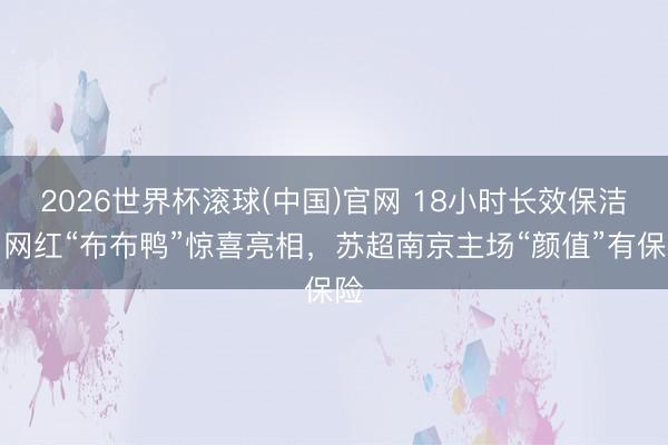 2026世界杯滚球(中国)官网 18小时长效保洁、网红“布布鸭”惊喜亮相,苏超南京主场“颜值”有保险