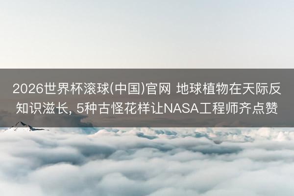 2026世界杯滚球(中国)官网 地球植物在天际反知识滋长， 5种古怪花样让NASA工程师齐点赞