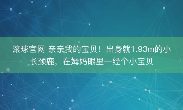 滚球官网 亲亲我的宝贝！出身就1.93m的小长颈鹿，在姆妈眼里一经个小宝贝