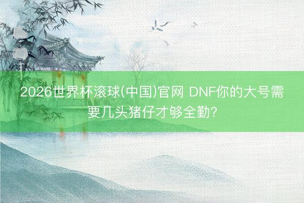 2026世界杯滚球(中国)官网 DNF你的大号需要几头猪仔才够全勤?