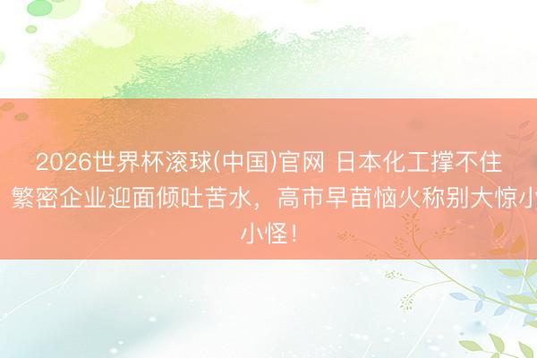 2026世界杯滚球(中国)官网 日本化工撑不住了，繁密企业迎面倾吐苦水，高市早苗恼火称别大惊小怪！
