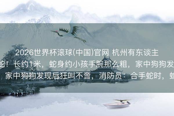 2026世界杯滚球(中国)官网 杭州有东谈主家三天“闯”进3条眼镜蛇！长约1米，蛇身约小孩手腕那么粗，家中狗狗发现后狂叫不啻，消防员：合手蛇时，蛇身一度立起来