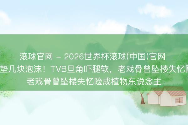 滚球官网 - 2026世界杯滚球(中国)官网 6层楼高吊威亚仅垫几块泡沫！TVB旦角吓腿软，老戏骨曾坠楼失忆险成植物东说念主