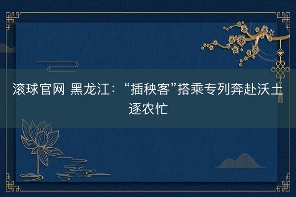 滚球官网 黑龙江：“插秧客”搭乘专列奔赴沃土逐农忙