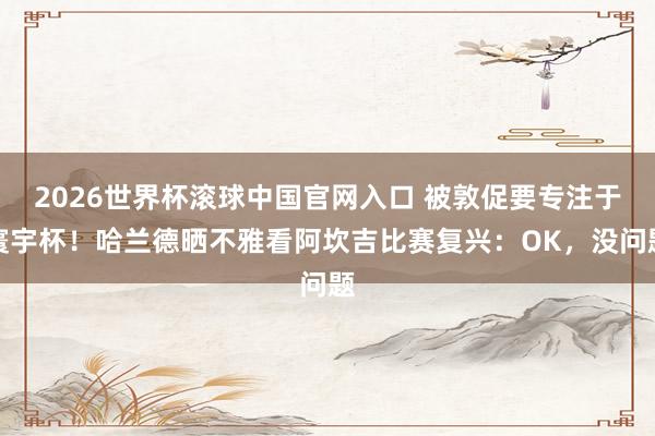 2026世界杯滚球中国官网入口 被敦促要专注于寰宇杯！哈兰德晒不雅看阿坎吉比赛复兴：OK，没问题